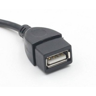 ภาพขนาดย่อของภาพหน้าปกสินค้าสาย USB 2.0 Female to Mini USB Male Cable Adapter 5P OTG V3 และ V8 ความยาว 12cm เป็นสายเคเบิ้ลเชื่อมต่อข้อมูล จากร้าน b2cgadget บน Shopee ภาพที่ 4