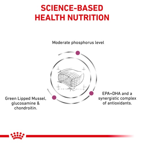 อาหารแมว-royal-canin-early-renal-renal-อาหารประกอบการรักษาโรค-แมวโรคไตระยะเริ่มต้น-และแมวโรคไต-2-kg-และ-4-kg