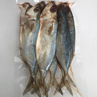 ภาพหน้าปกสินค้าปลาทูมันเค็ม 500 กรัม ถูกที่สุด ซึ่งคุณอาจชอบสินค้านี้