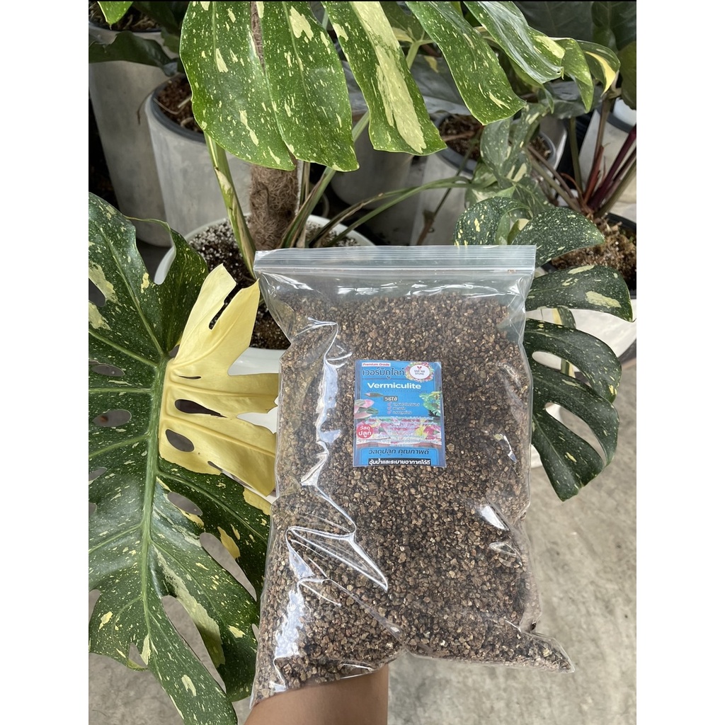 vermiculite-เวอร์มิคูลไลท์-วัสดุปลูก-เกรดนำเข้า-คุณภาพดี