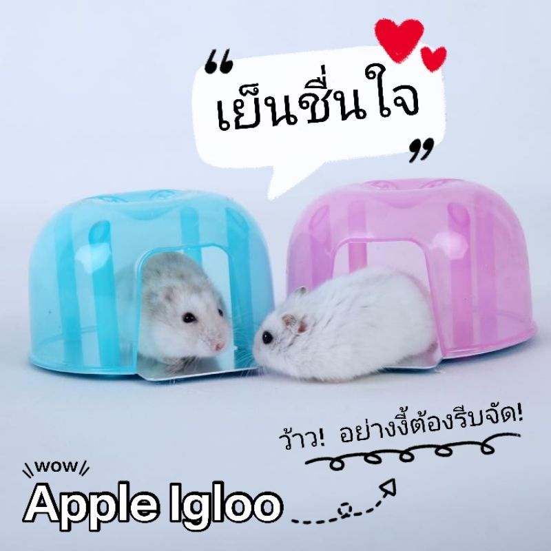 บ้านเย็นหนู-บ้านแอร์หนู-ขายส่ง-ราคาต่อ-6-ชิ้น