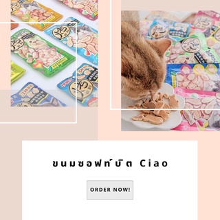 ขนมน้องแมวซอฟท์บิต Ciao