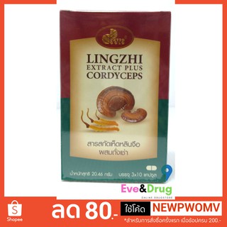 Phytogold Lingzhi Extract plus Cordyceps 30 capsules สารสกัด เห็ดหลินจือผสมถังเช่า phyto gold ไฟโต้ โกลด์ ไฟโต้โกลด์