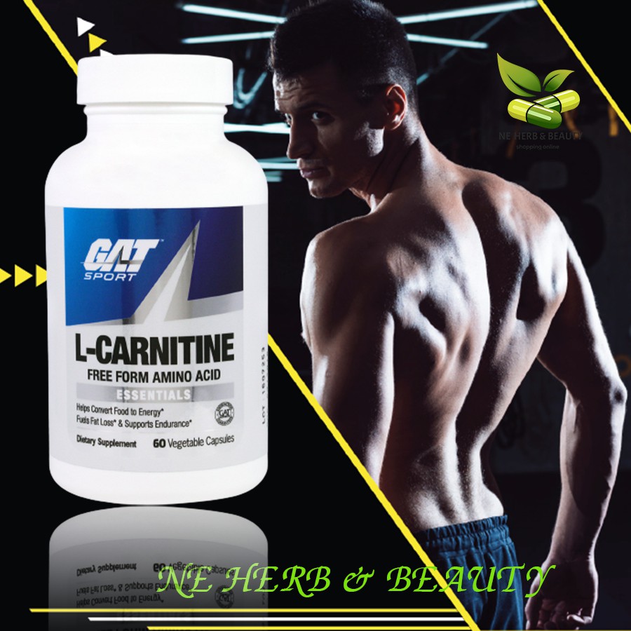 GAT, L-Carnitine, Amino Acid, Free Form, 60 Vegetable Capsules | Shopee ...