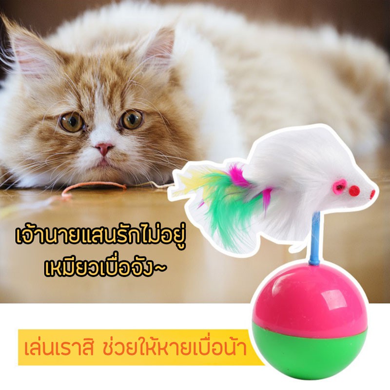 ของเล่นแมวหนูติดลูกบอล-cudy-club-โยน-กลิ้งล้มลุก-เล่นสนุก-หยุดไม่ได้