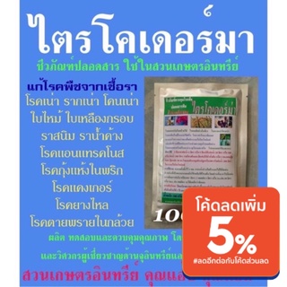 ไตรโคเดอร์มา 100กรัม กำจัดเชื้อรา แก้โรครากเน่า โคนเน่า ใบไหม้ ใบด่าง ใบจุด ใบเหลืองหลุดร่วง แคงเกอร์ แอนแทรคโนส ยางไหล