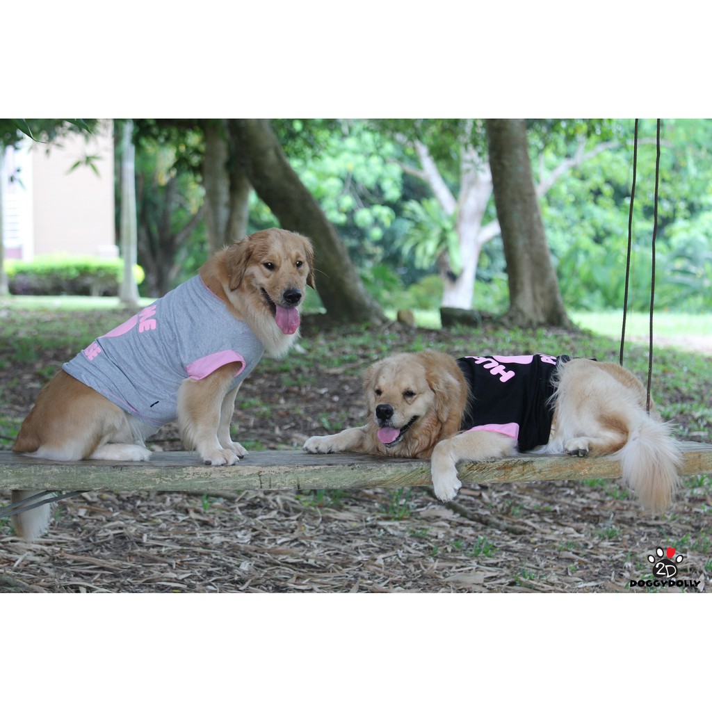 bigdog-pet-cloths-doggydolly-เสื้อผ้าหมาใหญ่-bigdog-หมาใหญ่-เสื้อเชิ๊ต-ชุดกระโปรง-เสื้อยืด-11-45-โล-bd070