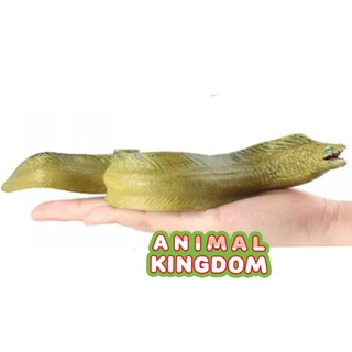 Animal Kingdom - โมเดลสัตว์ ปลาไหลมอเรย์ ขนาด 22.00 CM (จากสงขลา)