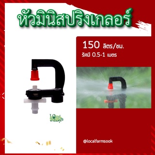 หัวมินิสปริงเกอร์ 150 ลิตร 💦(แพ็ค 5, 10) สปริงเกอร์รดน้ำต้นไม้ หัวมินิสปริงเกลอร์ 150 ลิตร เหมาะสําหรับรดต้นไม้ ดอกไม้