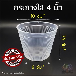 🗑กระถางพลาสติกใส 4 นิ้ว (Clear Tree Pot) ลายลูกฟูก ทรงกลม มองทะลุเห็นรากเดิน🌱พลาสติกหนา แข็งแรง👍คุณภาพดี (พร้อมส่ง)