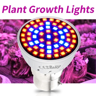 ภาพหน้าปกสินค้าE27 LED โคมไฟ E14 Grow Light Spectrum เต็ม GU10พืชแสง Fitolampy GU5.3สำหรับต้นกล้าพืชการเพาะปลูก ซึ่งคุณอาจชอบสินค้านี้