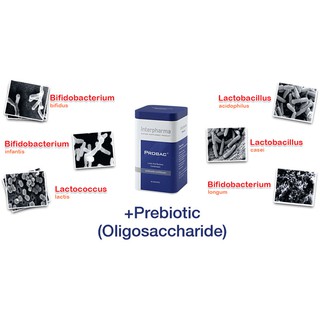 ภาพขนาดย่อของภาพหน้าปกสินค้าInterpharma Probac7 10 ซอง  โปรแบคเซเว่น Lactic Acid Bacteria Probac แลคติกแอซิด แบคทีเรียผสม จากร้าน medicalsupport บน Shopee ภาพที่ 5
