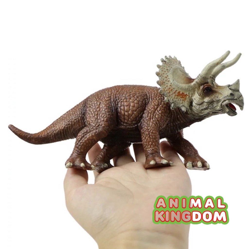 animal-kingdom-โมเดลไดโนเสาร์-triceratops-ขนาด-20-50-cm-จากหาดใหญ่