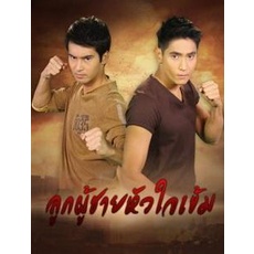 ลูกผู้ชายหัวใจเข้ม-แผ่น-dvd-ดีวีดี