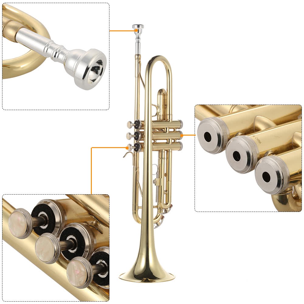 pre-order-trumpet-bb-b-flat-ทรัมเป็ต-บี-แฟลท-พร้อม-กล้องโฟมหุ้มกํามะหยี่-อุปกรณ์ทำความสะอาด