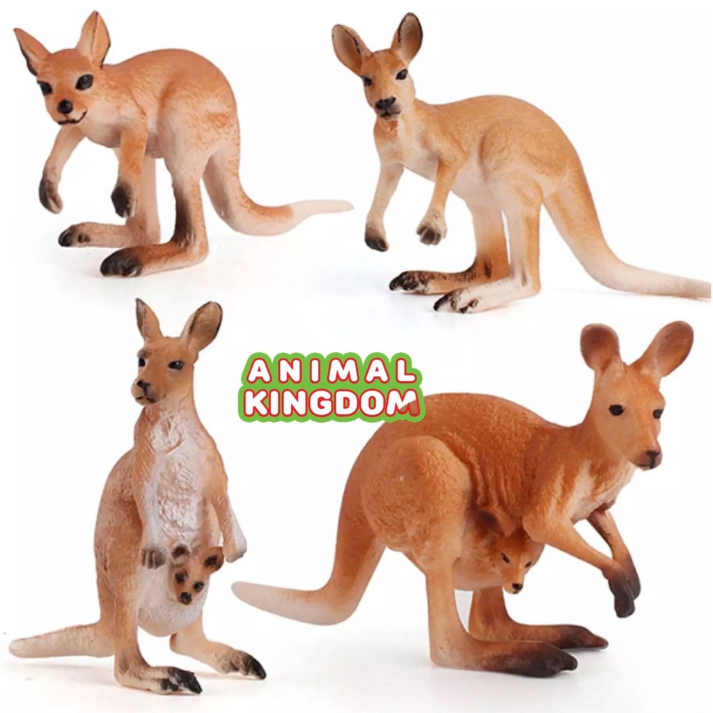 animal-kingdom-โมเดลสัตว์-จิงโจ้-พ่อแม่ลูก-ชุด-4-ตัว-จากหาดใหญ่