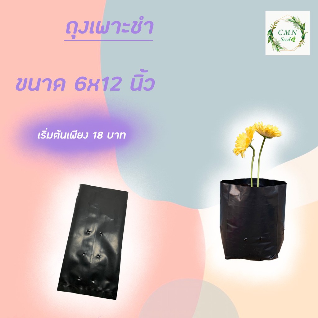 ถุงเพาะชำ-ขนาด-6-12-นิ้ว-ครึ่งกิโล-ได้-25ใบ-แพ็ค-ราคา40บาท