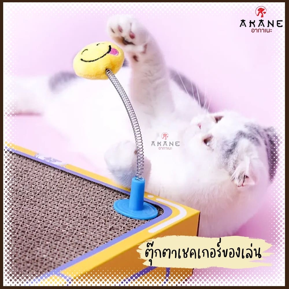 akane-ลับเล็บแมว-กล่องลับเล็บแมว-กล่องบอลของเล่น-no-513-ที่ลับเล็บแมว-ที่นอนแมว-ของเล่นแมว-ของเล่นสัตว์เลี้ยง