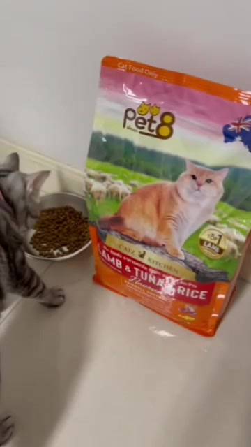 pet8-อาหารแมวชนิดเม็ด-เกรดพรีเมี่ยม-สูตรเนื้อแกะ-ทูน่าและข้าว-เกรดพรีเมี่ยม-อาหารแมวถุง-1-2kg