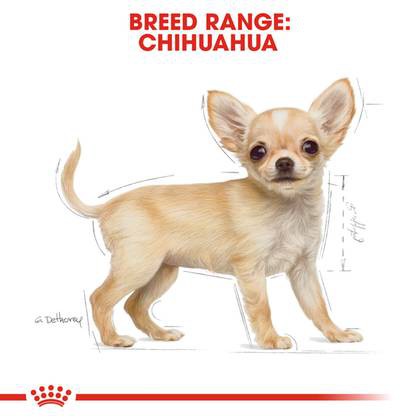 royal-canin-dog-chihuahua-junior-1-5-kg-อาหารลูกสุนัข-พันธุ์-ชิวาว่า-ลูกสุนัข