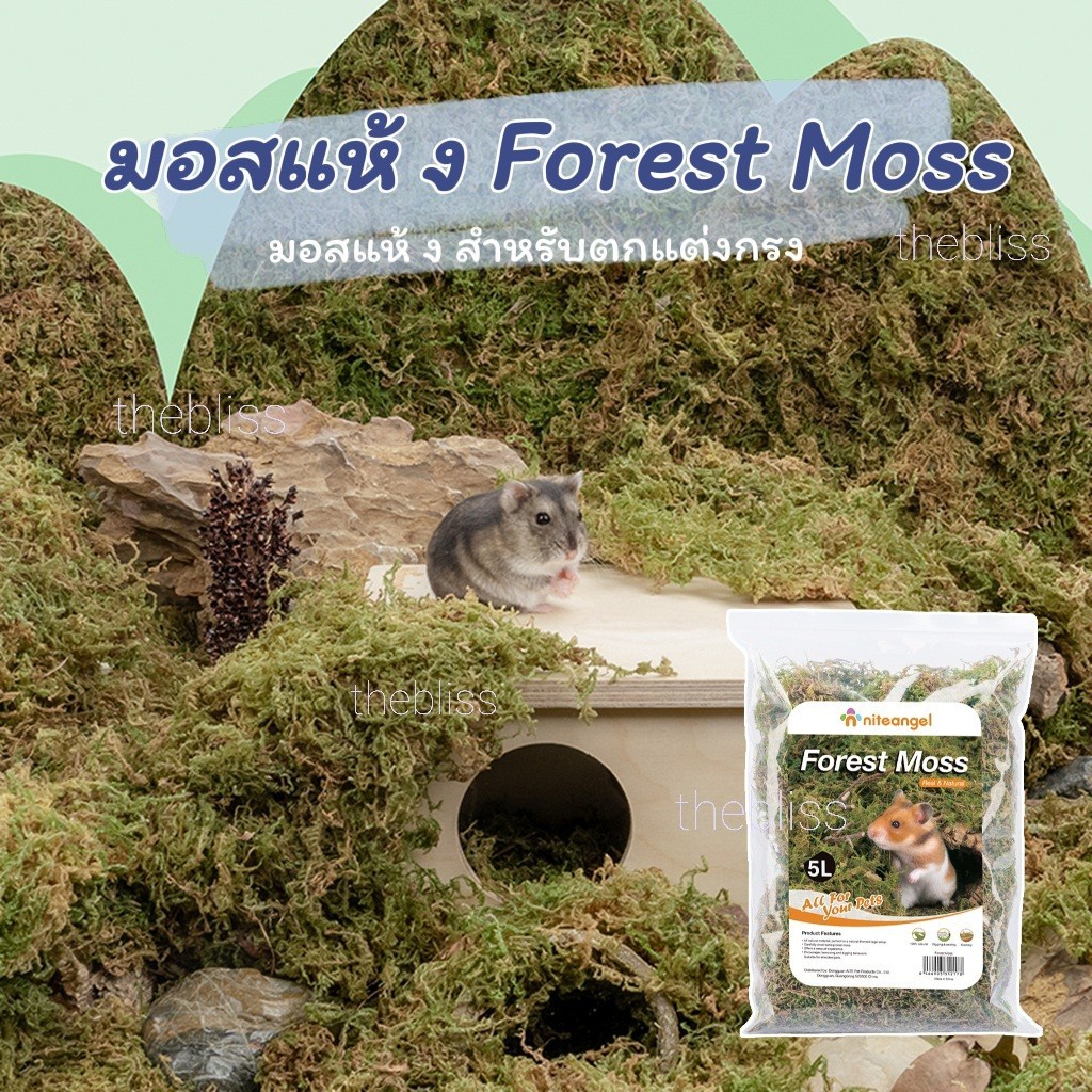 ภาพหน้าปกสินค้าพร้อมส่ง มอสแห้ง Niteangel , Hedgehog Planet รองกรงธรรมชาติ แต่งกรง Forest Moss