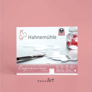 FOLIO ART : กระดาษวาดภาพ Hahnemühle paper pad  รุ่น Expression  300 แกรม เล่มฉีกขนาด 24x30 cm. 20 แผ่น (8570124)