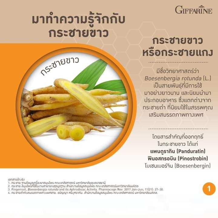 กระชายขาวสกัด-ชนิดแคปซูล-กิฟฟารีน-กระชาย-พลัส-giffarine-krachai-plus-รับประทานง่าย-และเข้มข้นมากกว่าการทานแบบสด