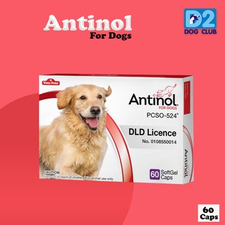 ภาพหน้าปกสินค้าAntinol DOG joint care 60 caps แอนทินอล อาหารเสริมบำรุงข้อสุนัข ลดการอักเสบข้อ  บรรจุ 60 เม็ด ที่เกี่ยวข้อง