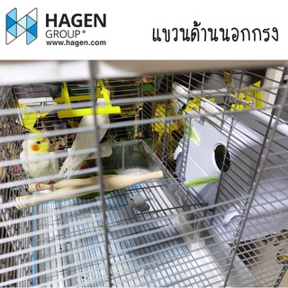 ภาพขนาดย่อของภาพหน้าปกสินค้าHAGEN VISION รังเพาะพลาสติกคุณภาพสูง มีถาดพลาสติกรองรังทำความสะอาดง่าย จากร้าน cpurr บน Shopee ภาพที่ 1