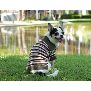 Pet cloths -Doggydolly sweater เสื้อไหมพรม เสื้อผ้าแฟชั่น เสื้อผ้าสัตว์เลี้ยง เสื้อผ้าหมาแมว เสื้อหนาว winter  W445