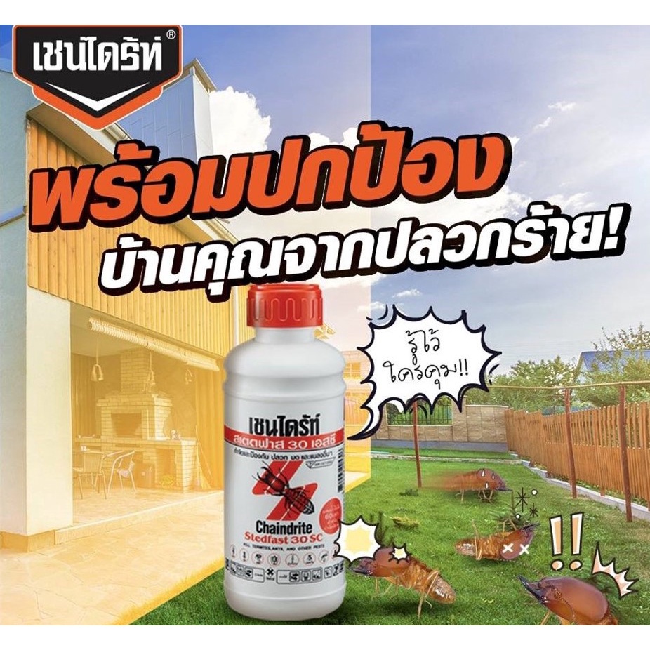 chaindrite-stedfast-30sc-น้ำยากำจัดปลวก-5-ลิตร-เชนไดร้ท์สเตดฟาส-30sc-น้ำยาฆ่าปลวก-สูตรน้ำ-ราดพื้น-พ่น