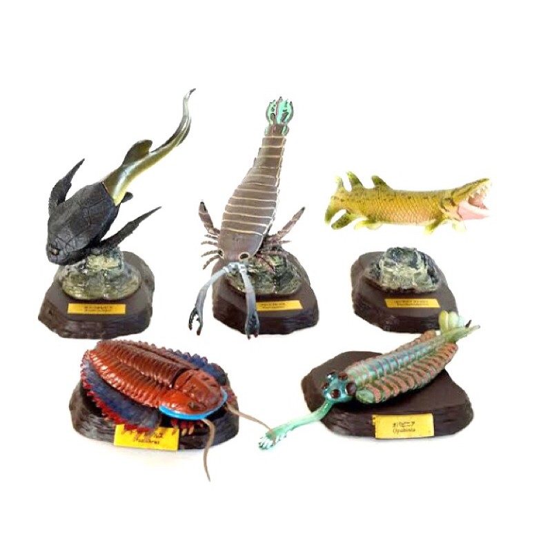 Kaiyodo Capsule Q Museum Encyclopedia of The Paleozoic x5 pcs Set Japan