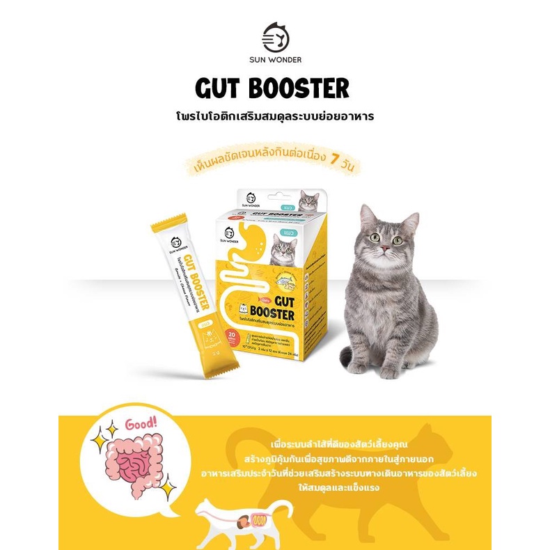ภาพหน้าปกสินค้าSun Wonder Gut Booster 1 ซอง เสริมสมดุลระบบย่อยอาหารเสริมแมว ปรับสมดุลลำใส้ เสริมสร้างภูมิคุ้มกันที่ดี อาหารแมว