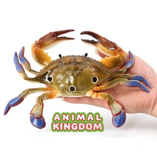 Animal Kingdom - โมเดลสัตว์ ปูม้า 3 จุด ขนาด 23.00 CM (จากสงขลา)