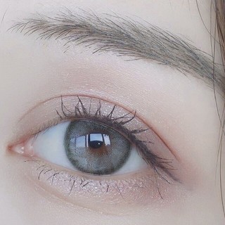 Samui Gray มินิ สีเทา เทา โทนธรรมชาติ Dreamcolor1 ค่าอมน้ำ42% Contact Lens Bigeyes คอนแทคเลนส์ ค่าสายตา สายตาสั้น Miszy