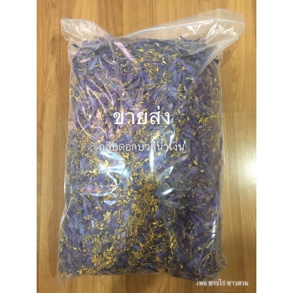 ดอกบัวสีน้ำเงิน-blue-lotus-ส่งตรงจากสวนบัว-เก็บ-อบ-ใหม่-สีสวย-กลิ่นหอม-สั่งเยอะ-ต่อรองราคาได้ค่ะ