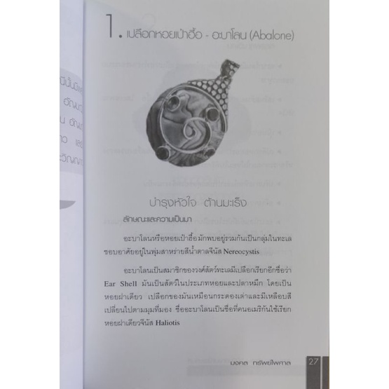 สรรพคุณวิเศษ-100-อัญมณีและหินสี