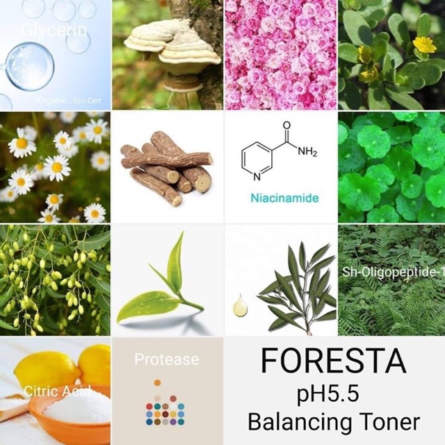 ฟอเรสต้า-foresta-ph-5-5-balancing-toner-150-ml