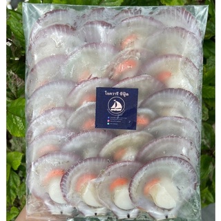 [พร้อมส่ง!!!!] หอยเชลล์ไทย แพ็คละ 30 ฝา อาหารทะเล ส่งถึงบ้าน