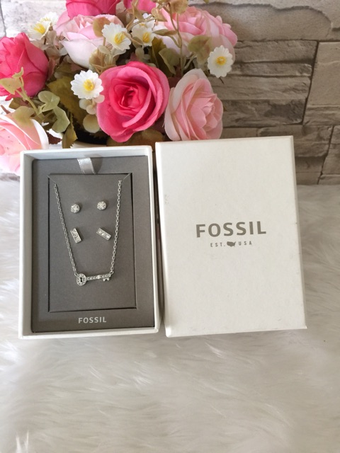 fossil-set