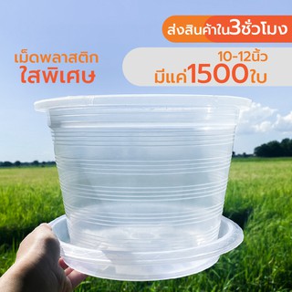 ภาพหน้าปกสินค้ากระถางใส พิเศษ จนมองไม่เห็น กระถางส่องราก Transparent Tree pot ที่เกี่ยวข้อง