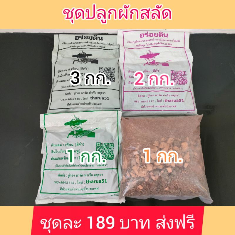 ชุดปลูกผักสลัดเหมาะกับการปลูกผักสลัด-เพียง-89-บาท