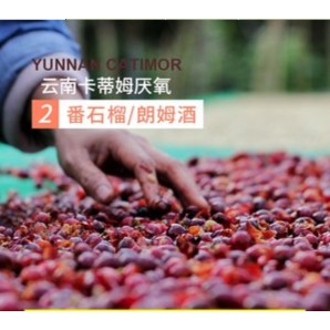 ฤดูกาล-yunnan-baoshan-lujiang-dam-เมล็ดกาแฟบดละเอียดแบบไม่ใช้ออกซิเจนตากแดด-200g