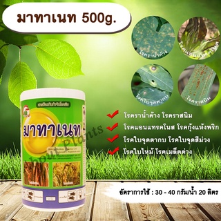 ภาพหน้าปกสินค้ามาทาเนท 500g. แมนโคเซบ+ไทโอฟาเนทเมทิล สารจัดโรคพืช กำจัดเชื้อรา โรคราน้ำค้าง โรคราสนิม โรคแอนแทรคโนส โรคกุ้งแห้งพริก ซึ่งคุณอาจชอบสินค้านี้