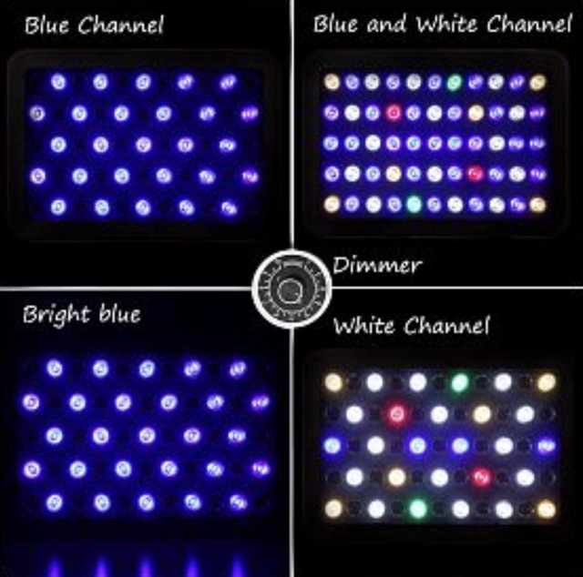 ภาพสินค้าไฟเลี้ยงปลาทะเล และปะการัง เลี้ยงต้นไม้ LED Full spectrum 165w ปรับแสงได้ เลือก Channel ได้ จากร้าน pp.aqua บน Shopee ภาพที่ 3