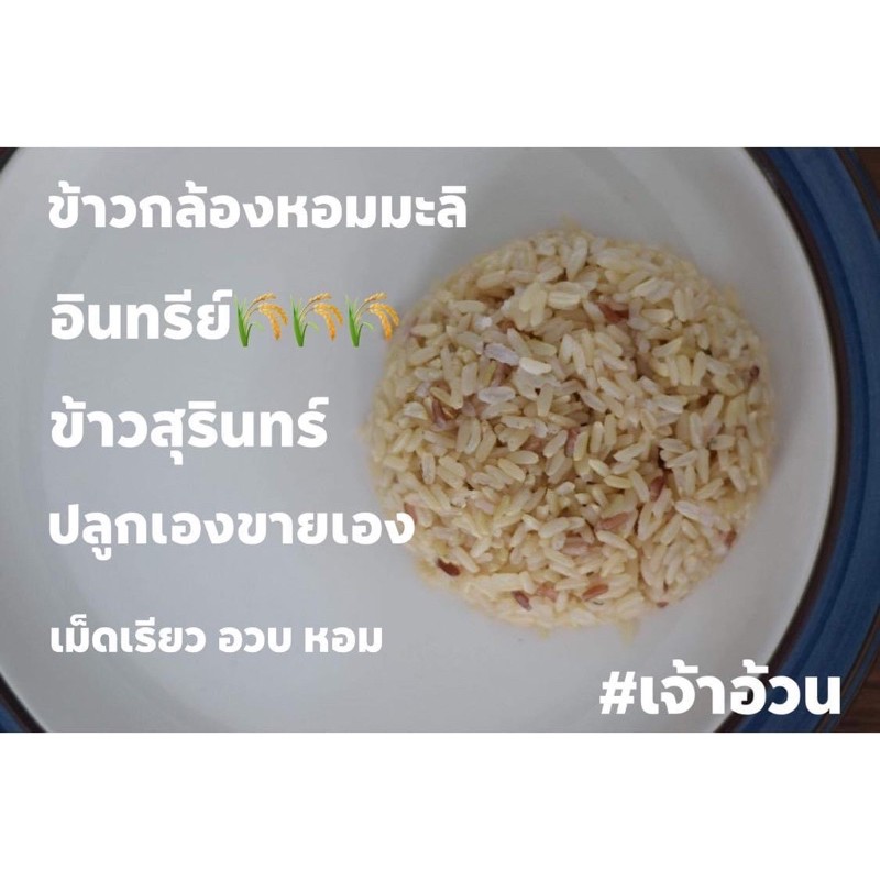 ข้าวกล้องหอมมะลิปลอดสาร-จ-สุรินทร์-ข้าวปลูกเองขายเอง