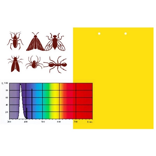 15-แผ่นสีเหลือง-แผ่นกาวดักแมลงขนาด-20x25-ซม-กาวเหนียว-2-ด้าน-สำหรับดักแมลงวันทอง-แมลงศัตรูพืช-ต่างๆ