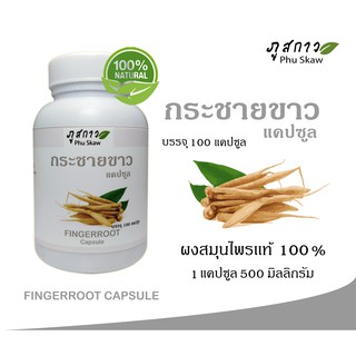 กระชายขาวเเคปซูล ( ผงกระชาย 100% ) บรรจุ 100 แคปซูล ปริมาณเเคปซูล 500 มิลลิกรัม