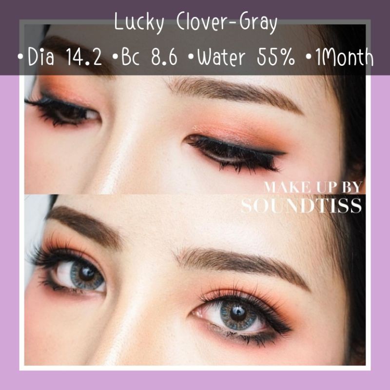 luckyclover-brown-gray-สายตา-00-700-รายเดือน