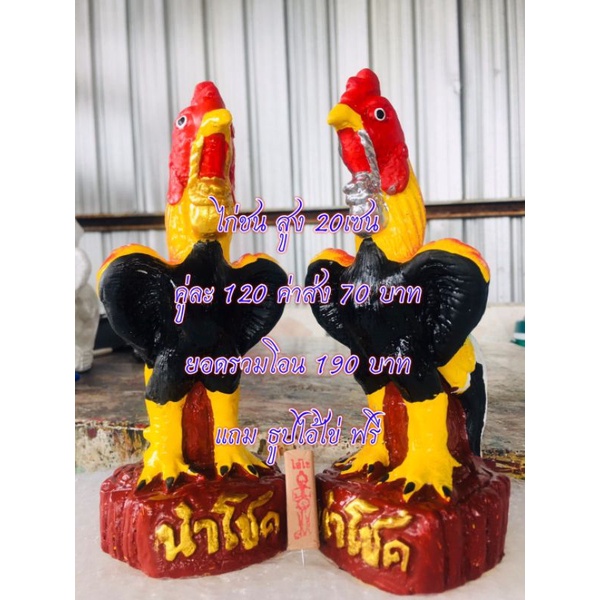 ไก่ชนงานปูน-ไก่แก้บน-ไก่ชนไอ้ไข่-ไก่ถวายพระเจ้าตาก-ราคาต่อคู่